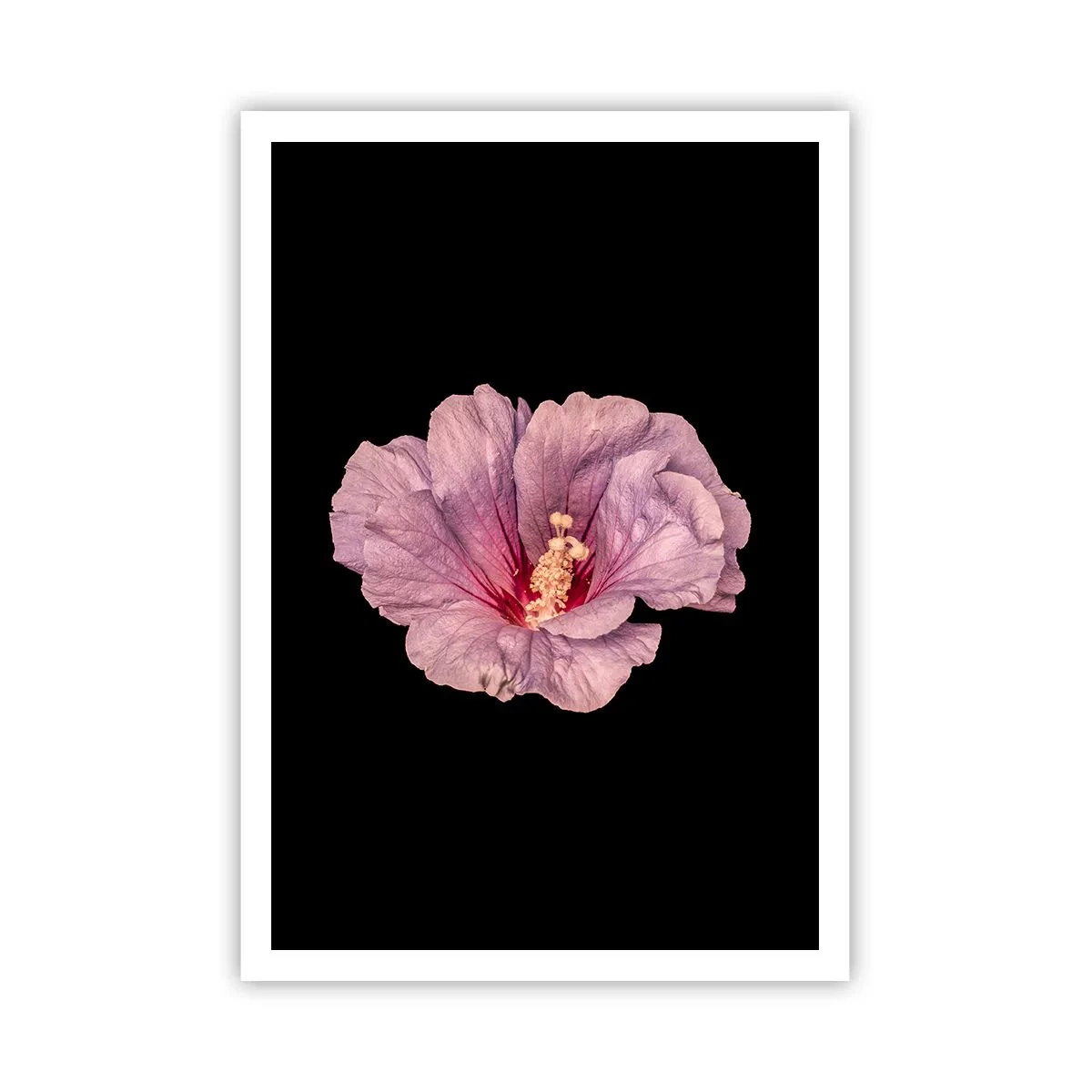 Poszter - Egyenesen a szív felé - 70x100 cm