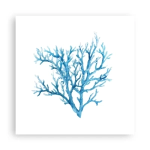 Poszter - Tengeri filigrán - 40x40 cm