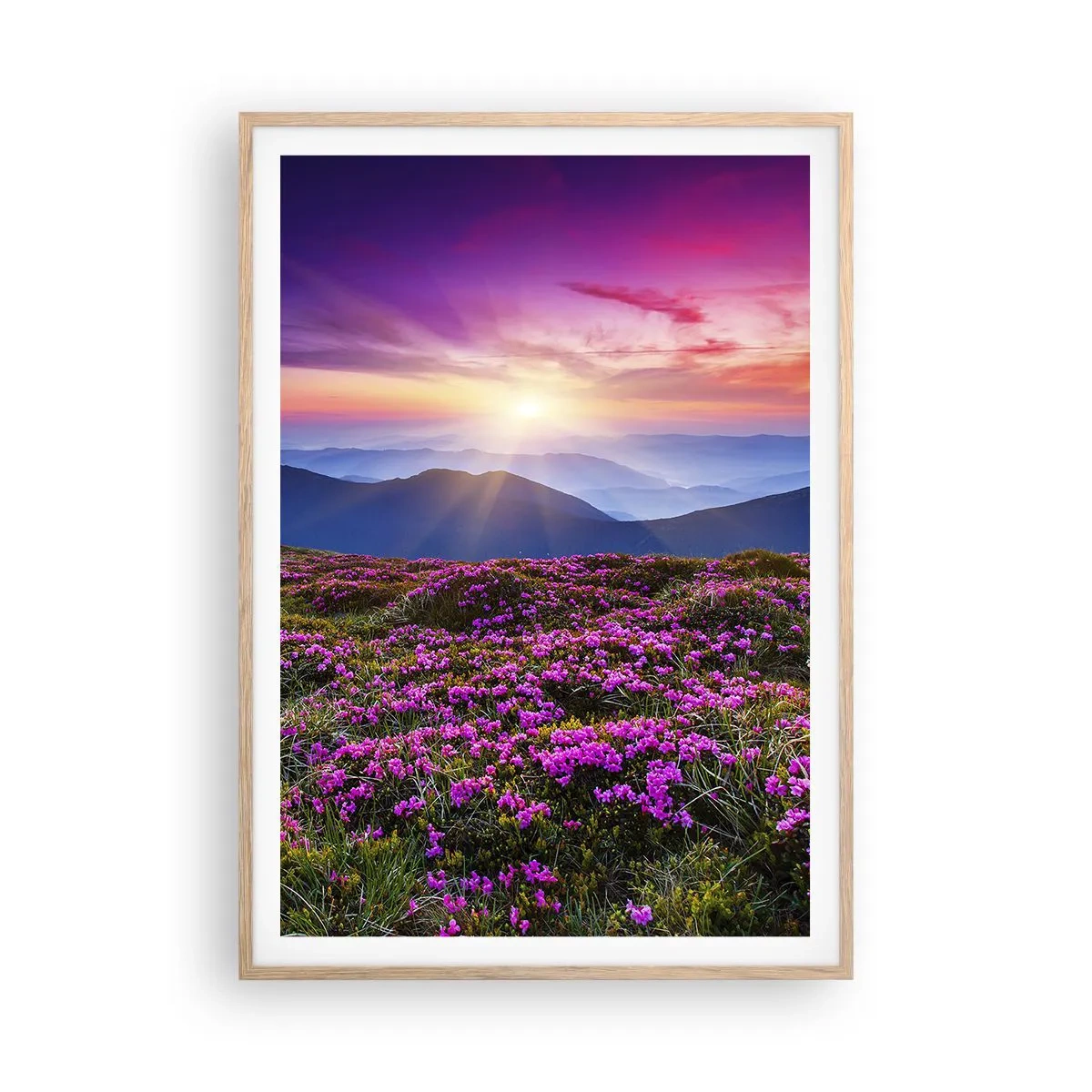 Poszter világos tölgy keretben - A gyógynövények friss fürtjei illatoztak a mezőkről - 70x100 cm