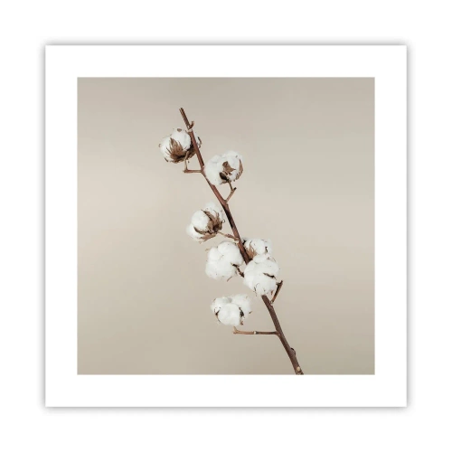 Poszter - A puhaság forrásánál - 40x40 cm