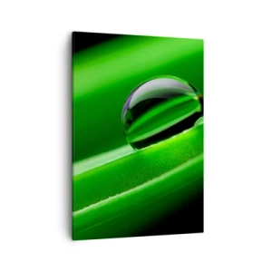 Vászonkép - Élet közelről - 50x70 cm