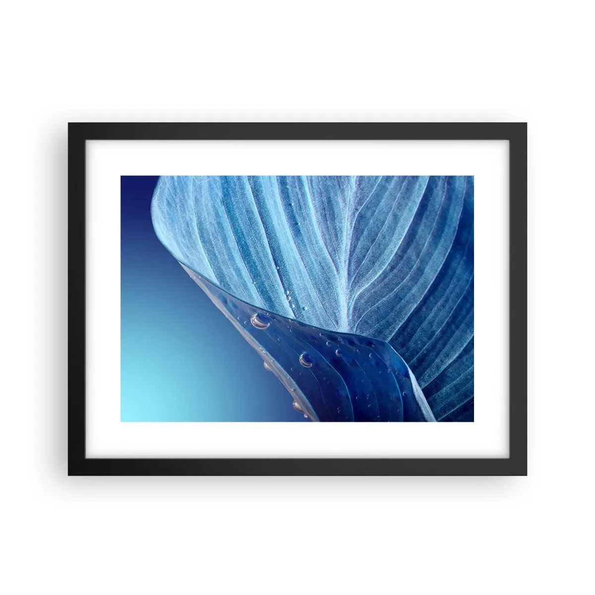 Poszter fehér keretben - A kék rejtett cseppjei - 40x30 cm