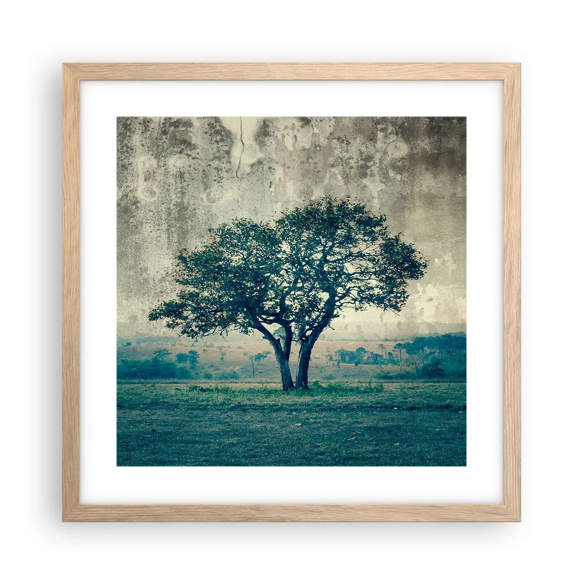 Poszter világos tölgy keretben - Almafa a kék mezőn? - 40x40 cm