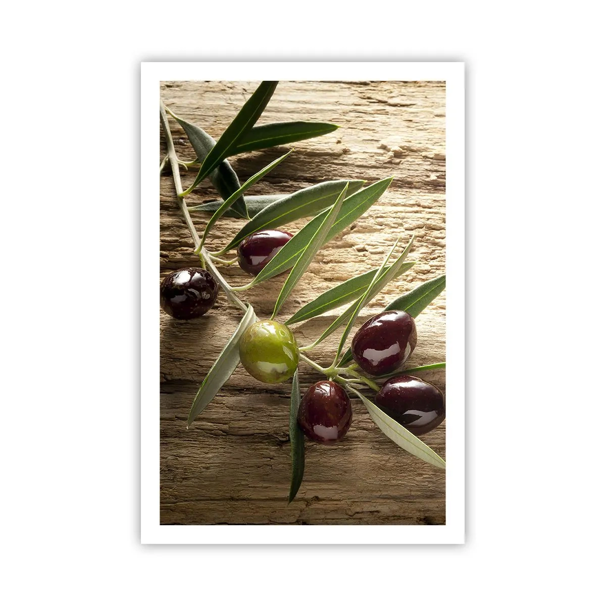 Poszter - Egyenesen a természetből - 61x91 cm