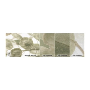 Fotótapéta Minta Premium Sand - Kezdetben levelek voltak... - Virágok, Nyugodt, Levelek - 100x30 cm