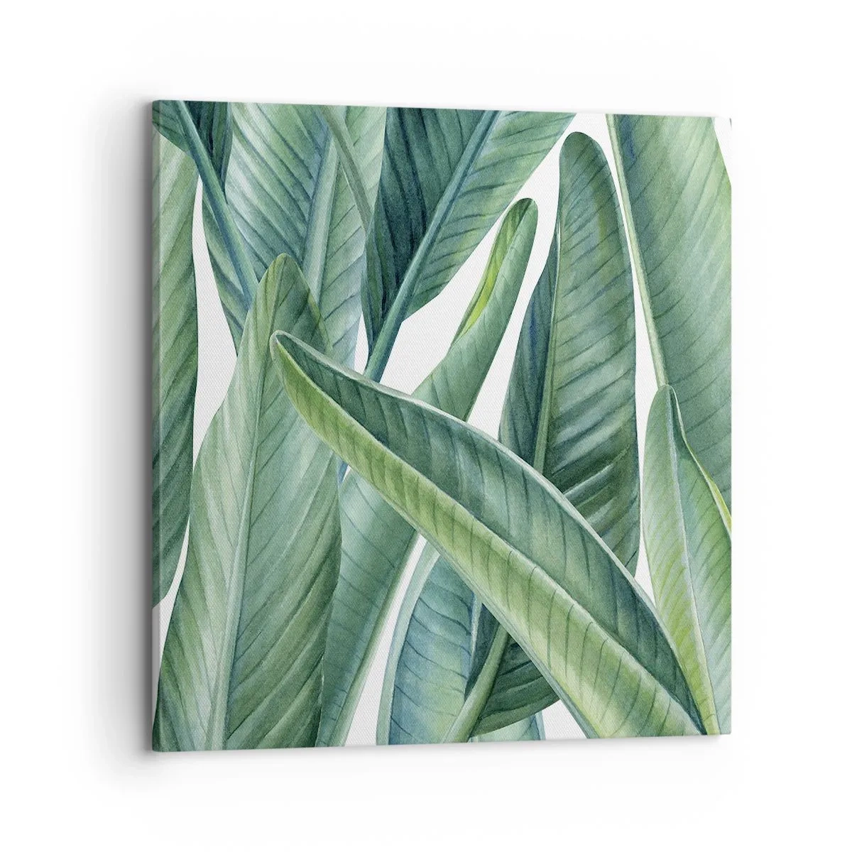 Vászonkép - Zöld önmagában - 70x70 cm