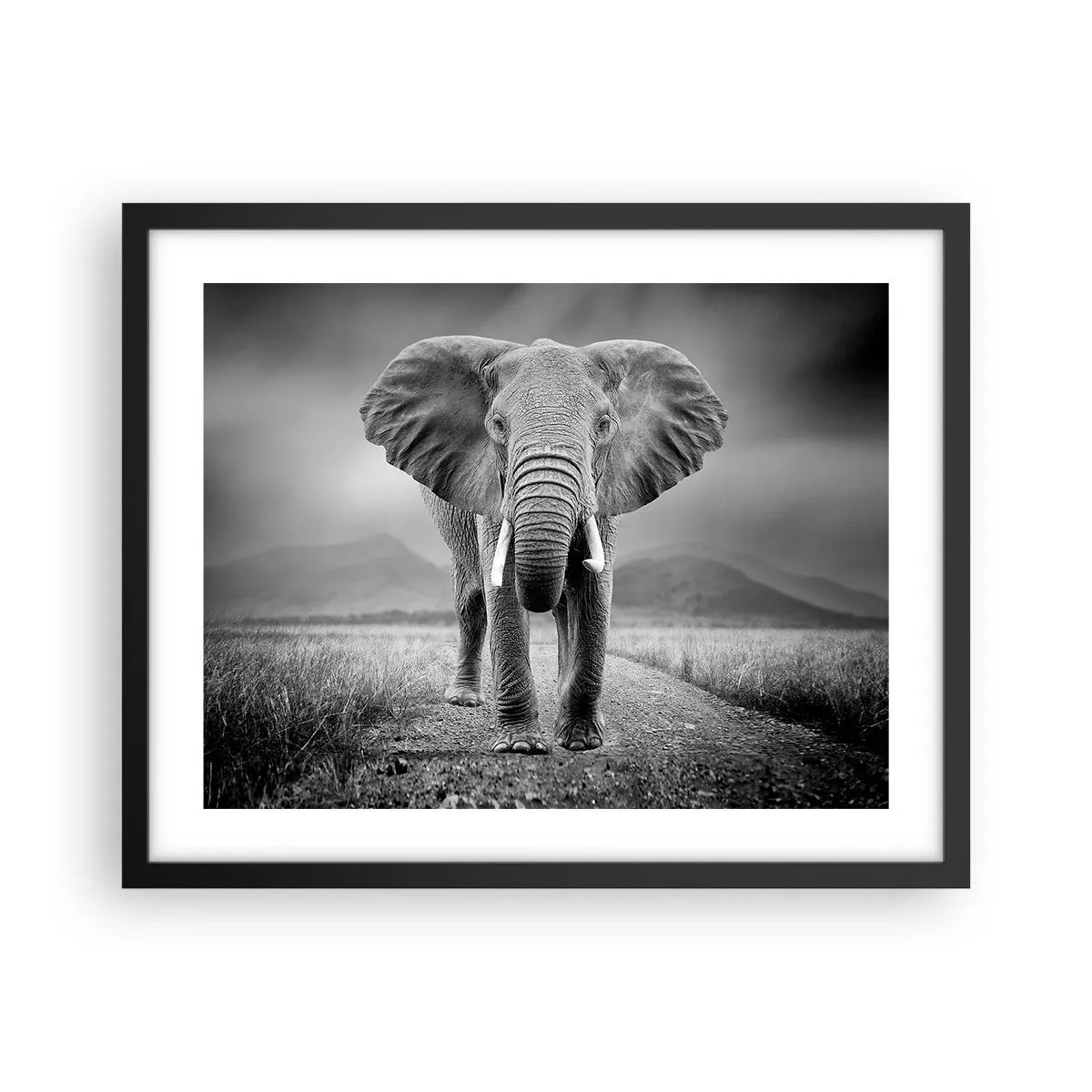 Poszter fehér keretben - A házigazda üdvözli - 50x40 cm