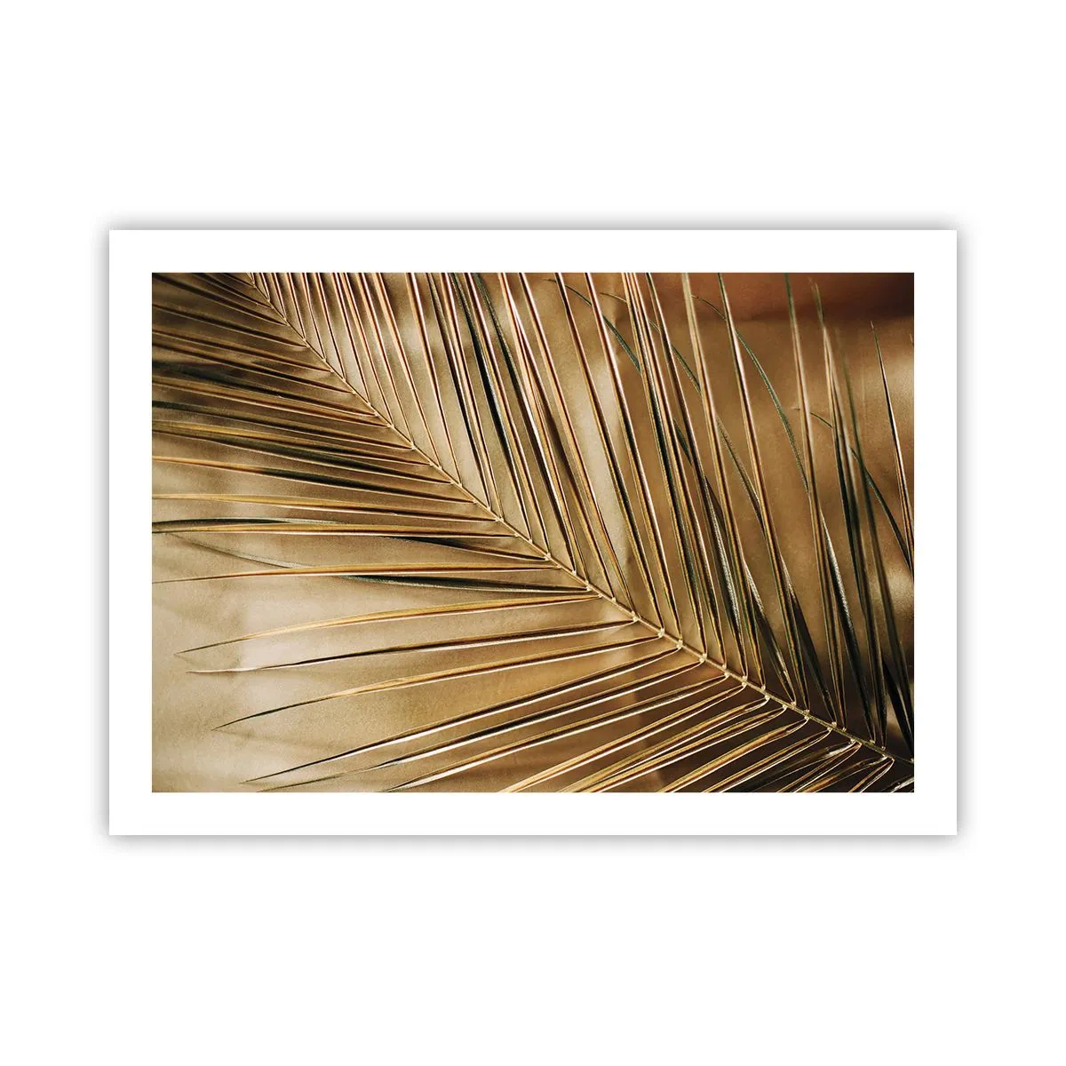 Poszter - Természetes oszlopsor - 70x50 cm