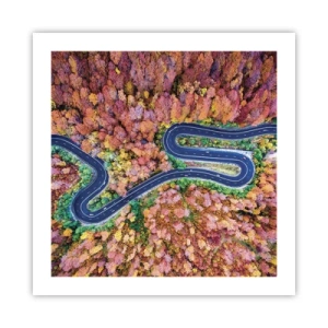 Poszter - Kanyargós út az erdőn keresztül - 50x50 cm