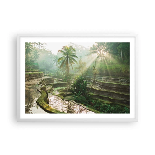 Poszter fekete keretben - Felnőni a napon - 70x50 cm