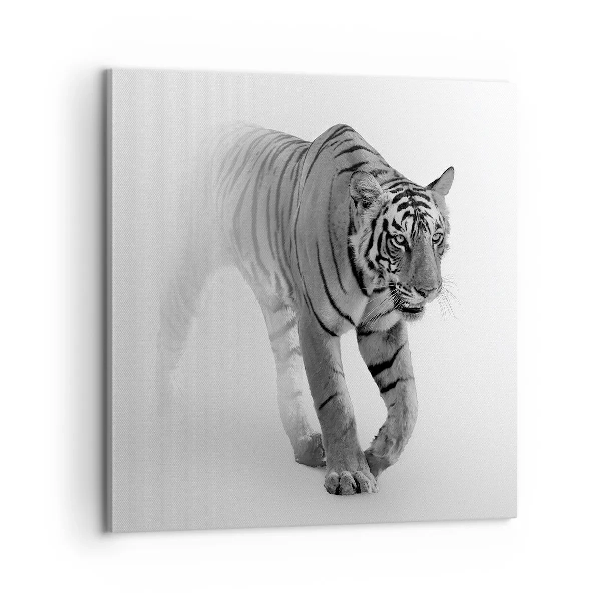 Vászonkép - Elrejtőzik a ködben - 60x60 cm