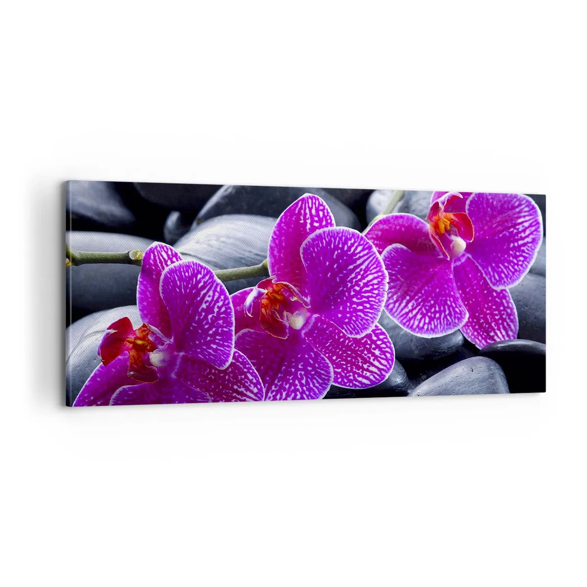 Vászonkép - A kövek kivilágosodtak az örömtől - 100x40 cm