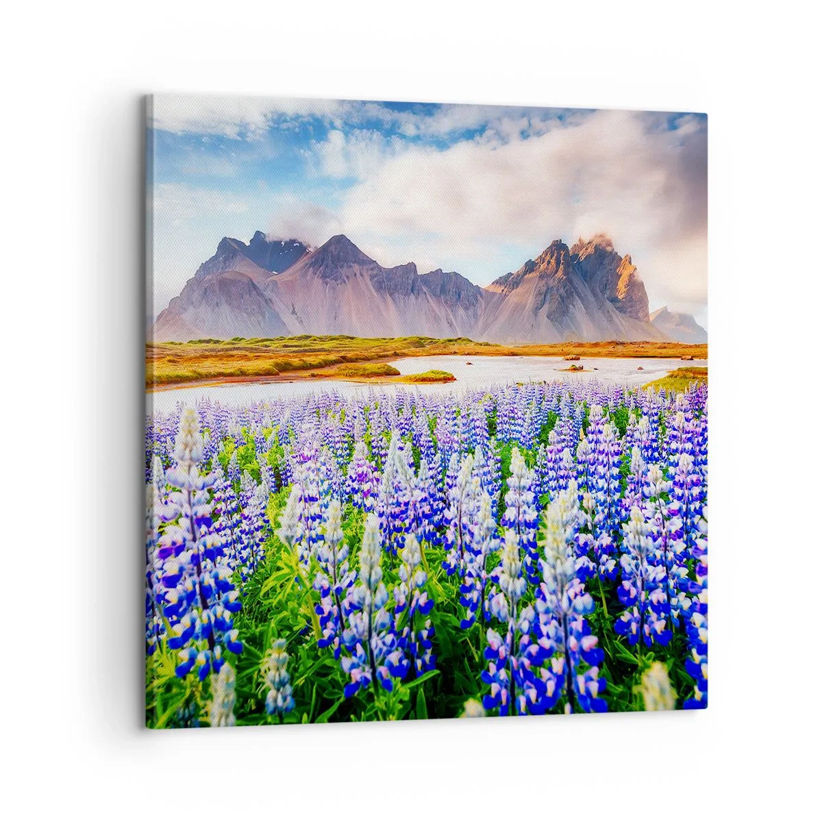 Vászonkép - Erő és szigorúság a szelídség mellett - 60x60 cm