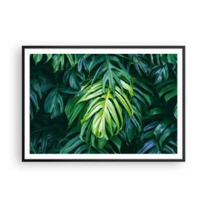 Poszter fehér keretben - Merüljön el a frissességben - 100x70 cm