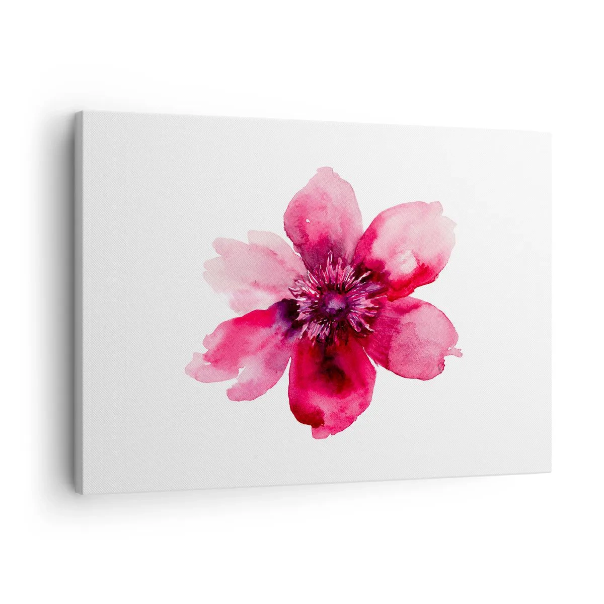 Vászonkép - Rózsaszín virág akvarell stílusban fehér háttér - 70x50cm - Kármin illatos csók - Modern fali dekoráció nappalihoz és hálószobához ARTTOR