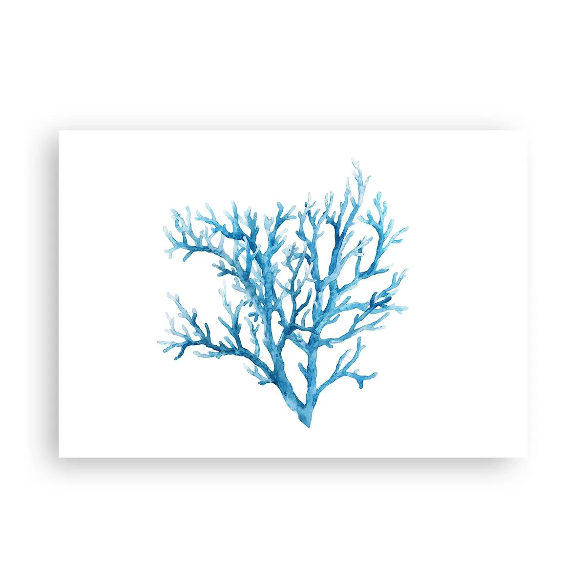 Poszter - Tengeri filigrán - 100x70 cm