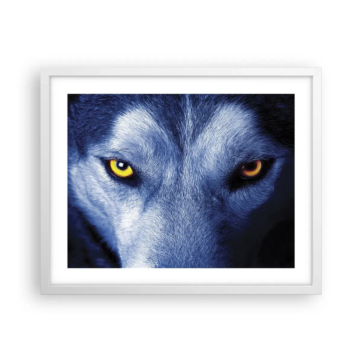 Poszter fekete keretben - Hipnotizáló nézés - 50x40 cm