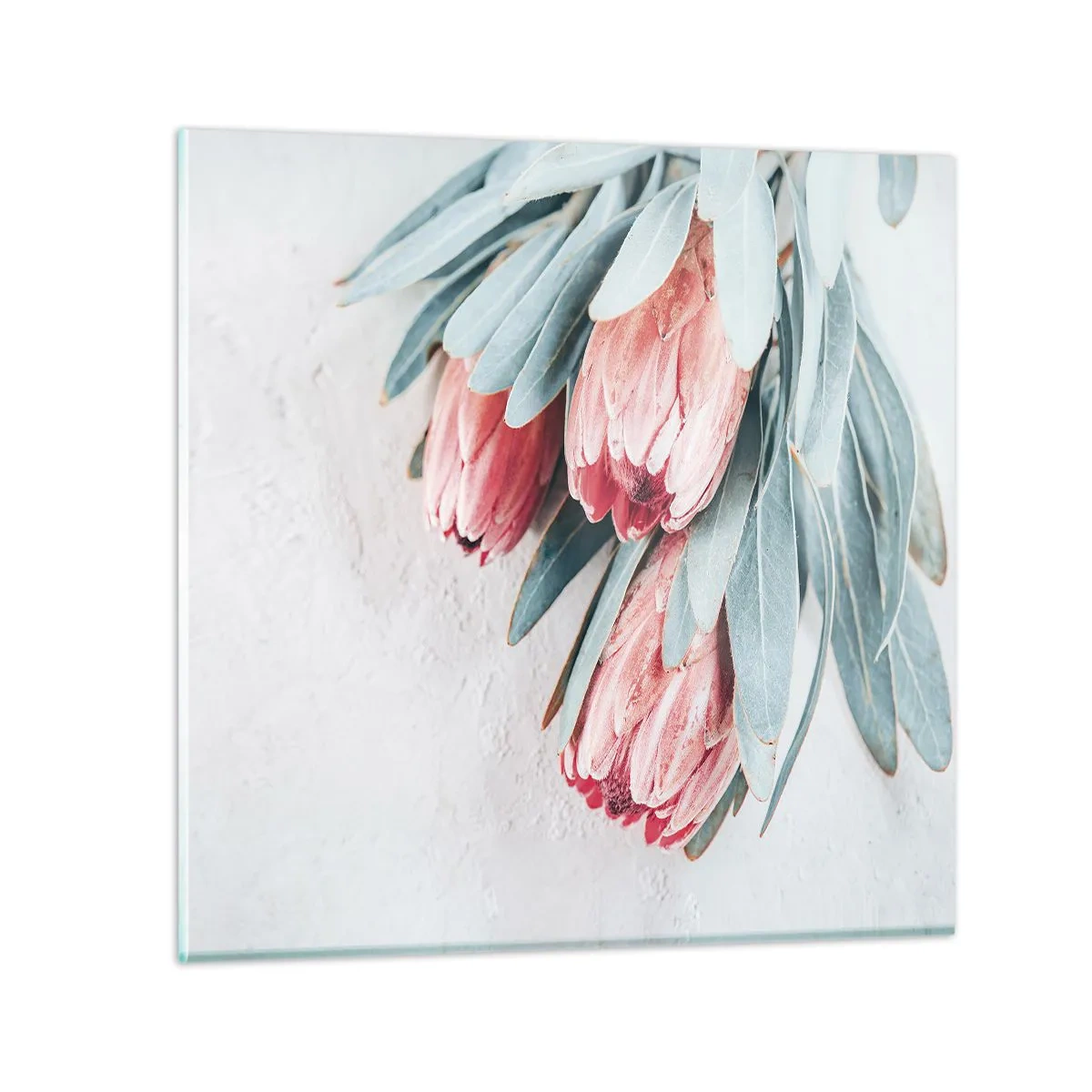 Üveg kép - Szégyellve saját szépségüket - 70x70 cm