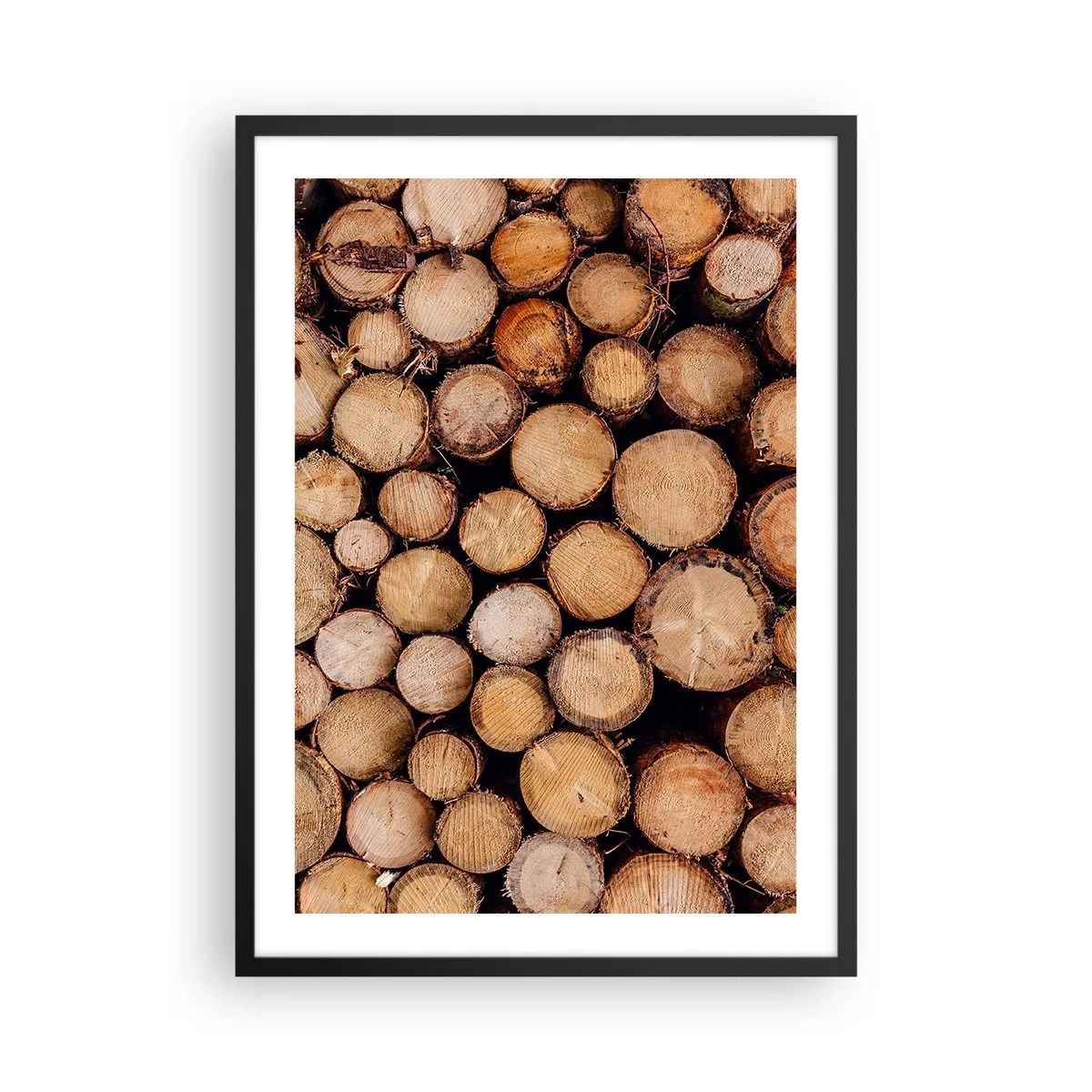 Poszter fehér keretben - Természetes vágott fatörzsek művészi elrendezésben - 50x70cm - Egy új kezdet - Modern fali dekoráció nappalihoz és hálószobához ARTTOR