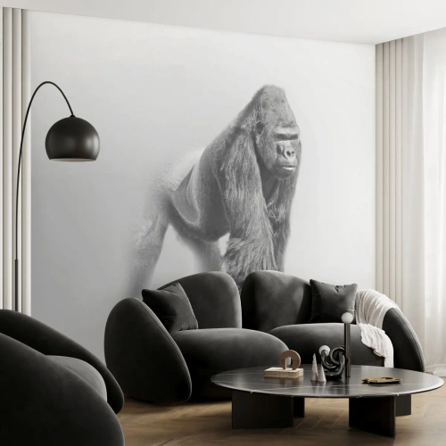 Fotótapéta Premium Sand - Magabiztos az erejében - Állatok, Gorilla, Majom - 200x140 cm