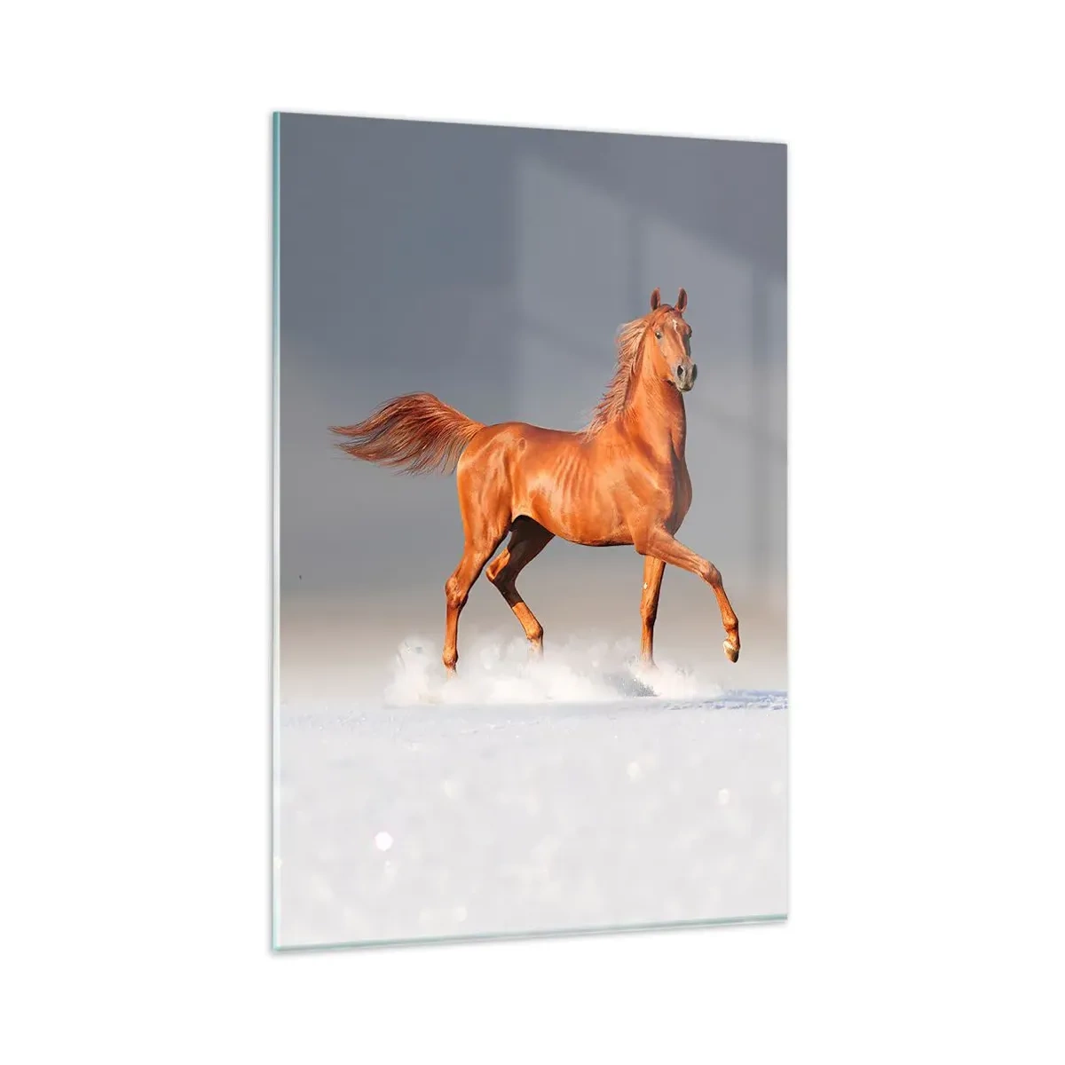 Üveg kép - Táncoló szépség - 80x120 cm