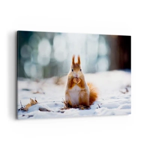 Vászonkép - Mit nézel? - 120x80 cm