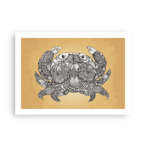Poszter - Rák úr történetei - 70x50 cm
