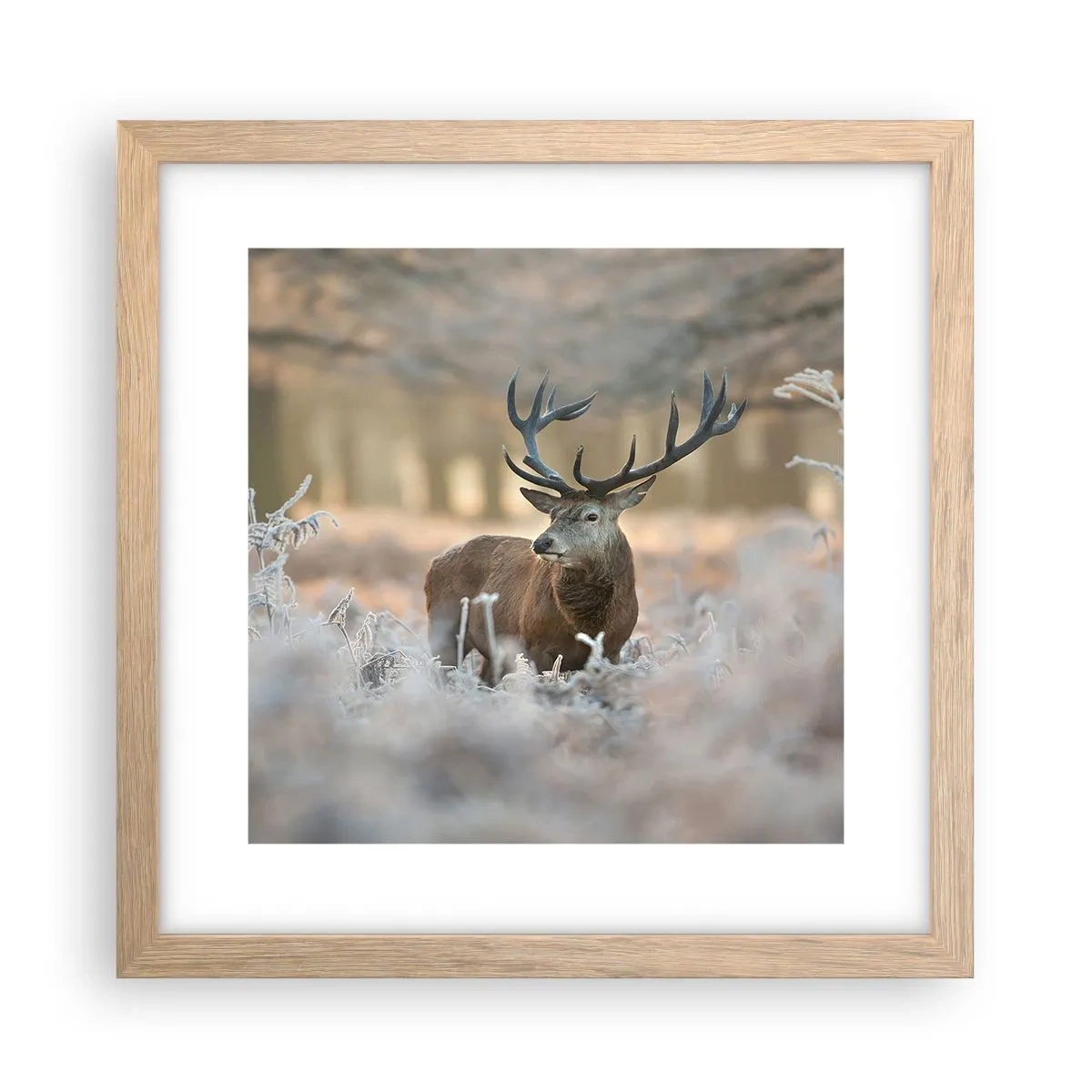 Poszter világos tölgy keretben - Friss reggel - 30x30 cm