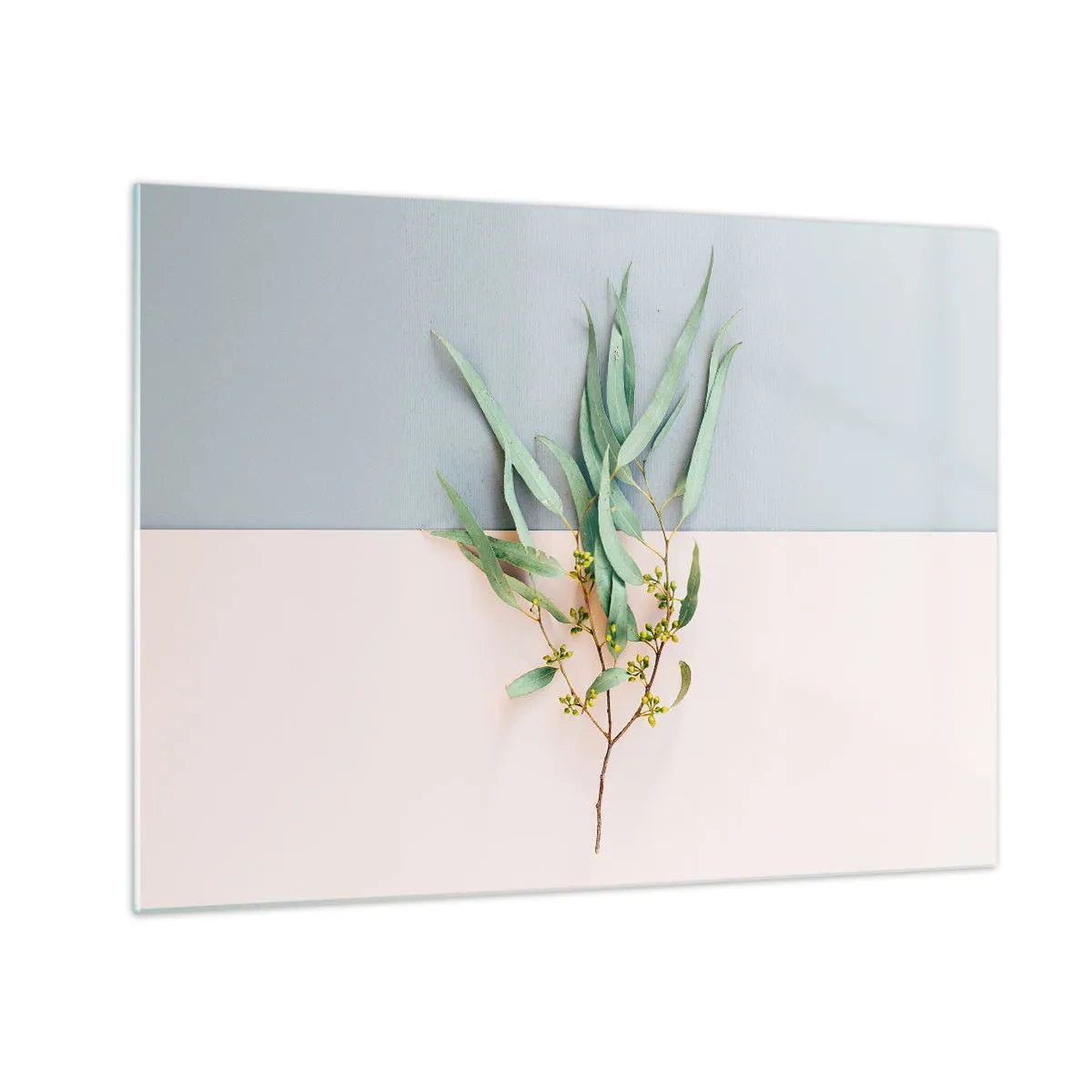 Üveg kép - Egy ágacska eukaliptusz pasztell háttéren - 70x50cm - Pasztell finomság - Modern fali dekoráció nappalihoz és hálószobához ARTTOR