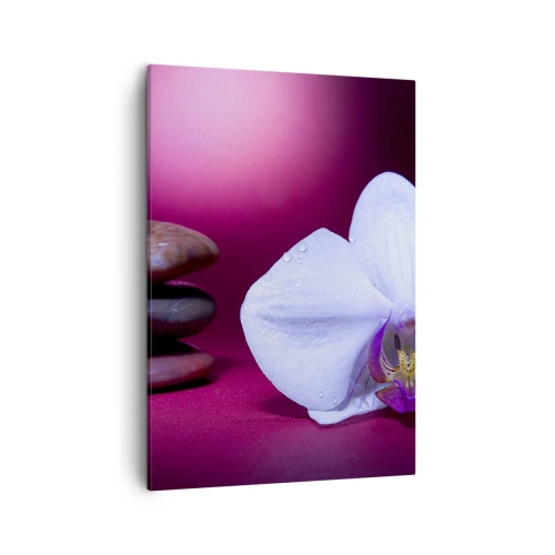 Vászonkép - A frissesség tanulmánya lilában - 50x70 cm