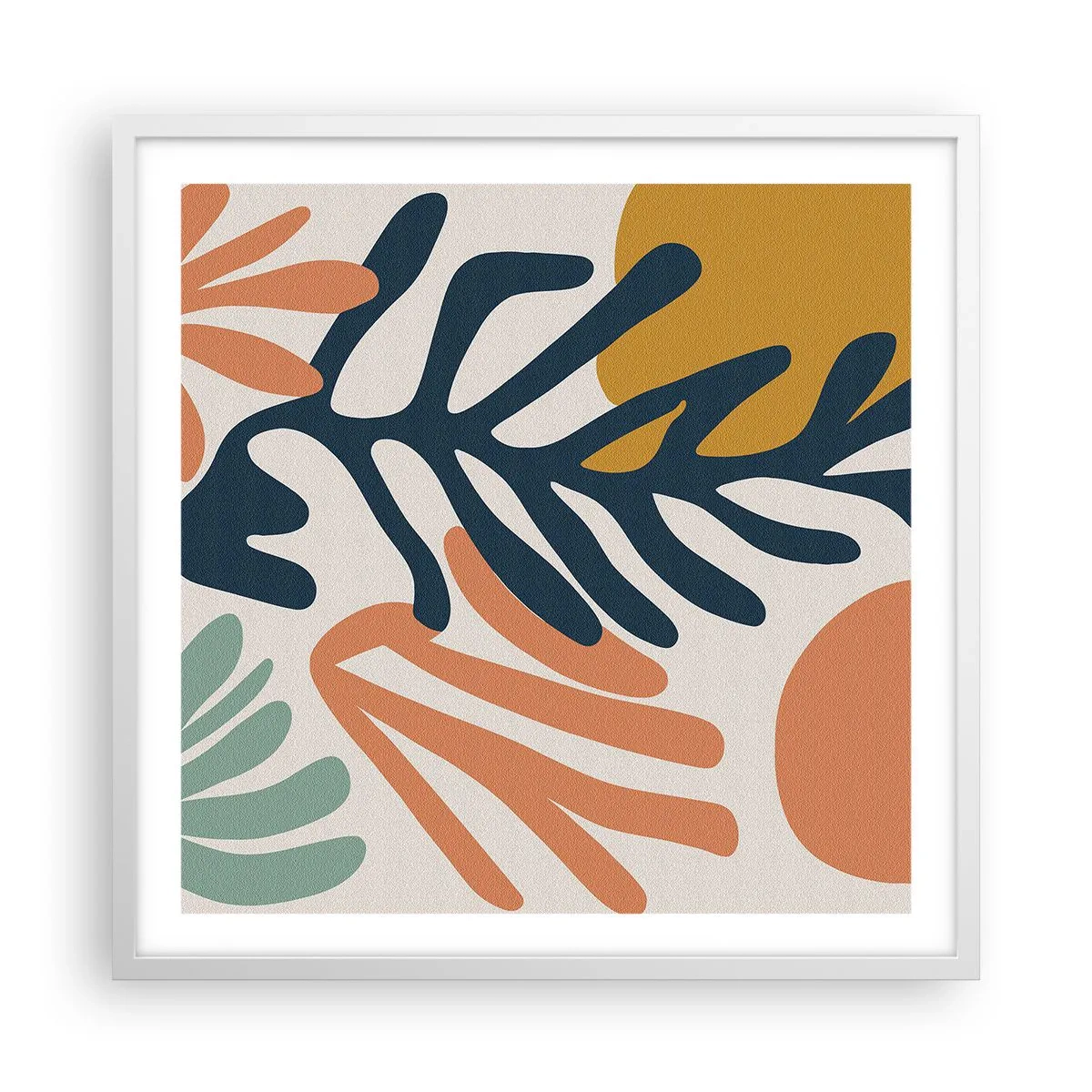 Poszter fekete keretben - Koralltengerek - 60x60 cm