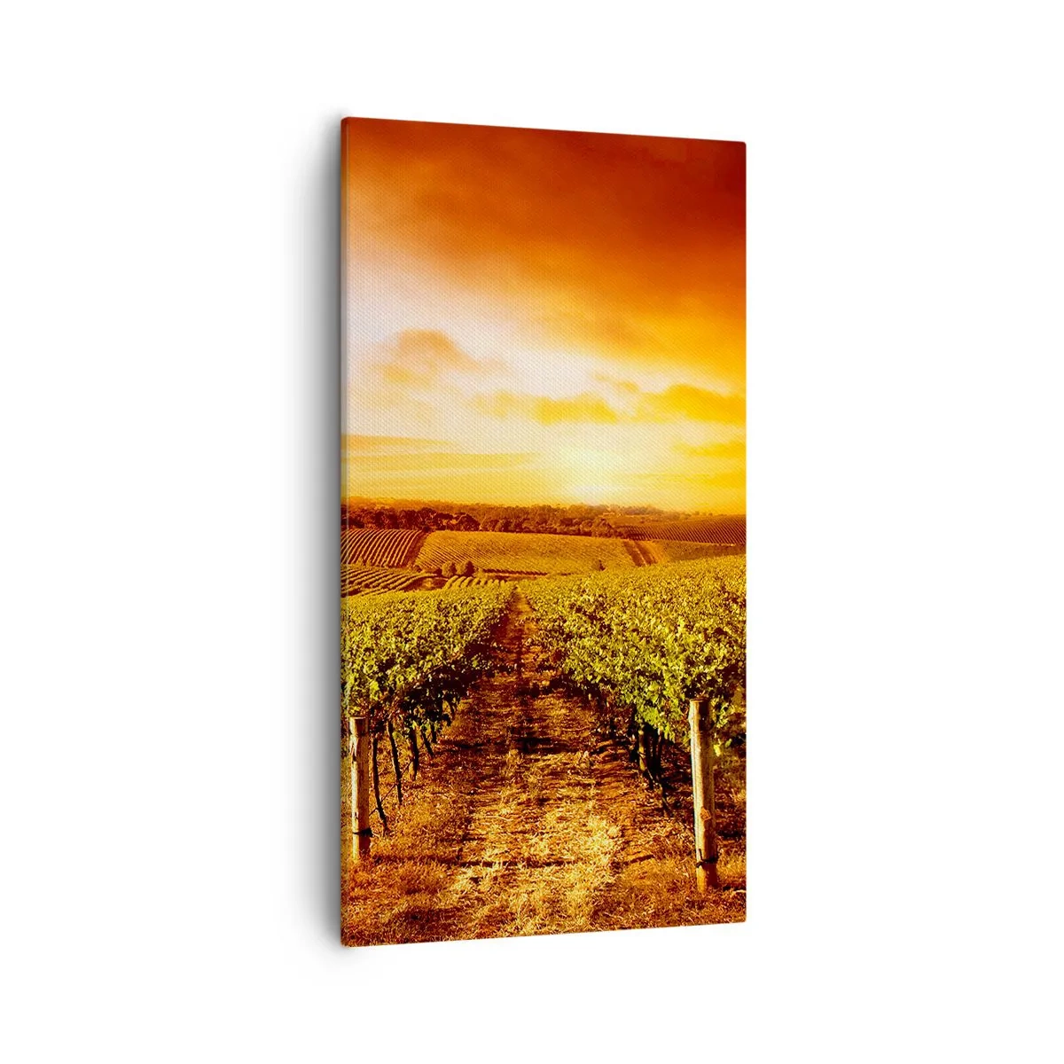 Vászonkép - Enyhén gyümölcsös, egy kis napfénnyel - 55x100 cm