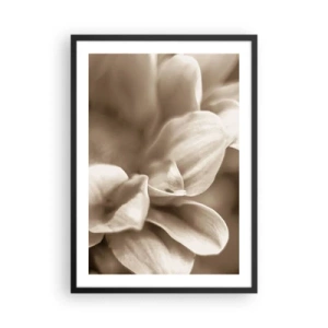 Poszter fehér keretben - Finom szépia tónusú virágszirmok közeli képe - 50x70cm - Gyengéd, mint egy mosoly - Modern fali dekoráció nappalihoz és hálószobához ARTTOR