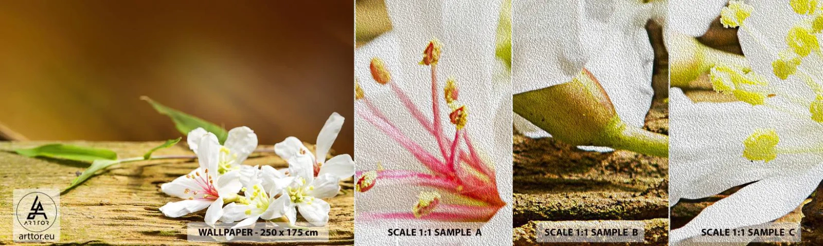 Fotótapéta Minta Premium Sand - Ártatlan ígéret - Virágok, Bambusz, Gyógyfürdő - 100x30 cm