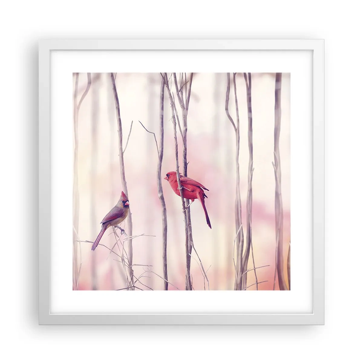 Poszter fekete keretben - Rózsaszín erdő története - 40x40 cm