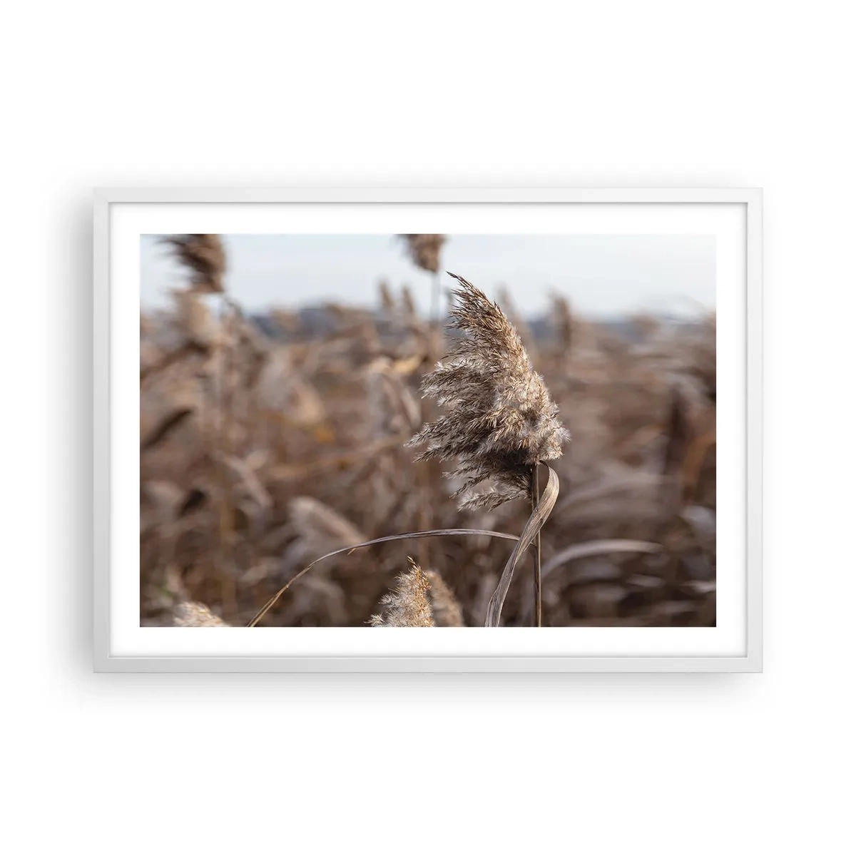 Poszter fekete keretben - Ideje elrepülni a széllel - 70x50 cm