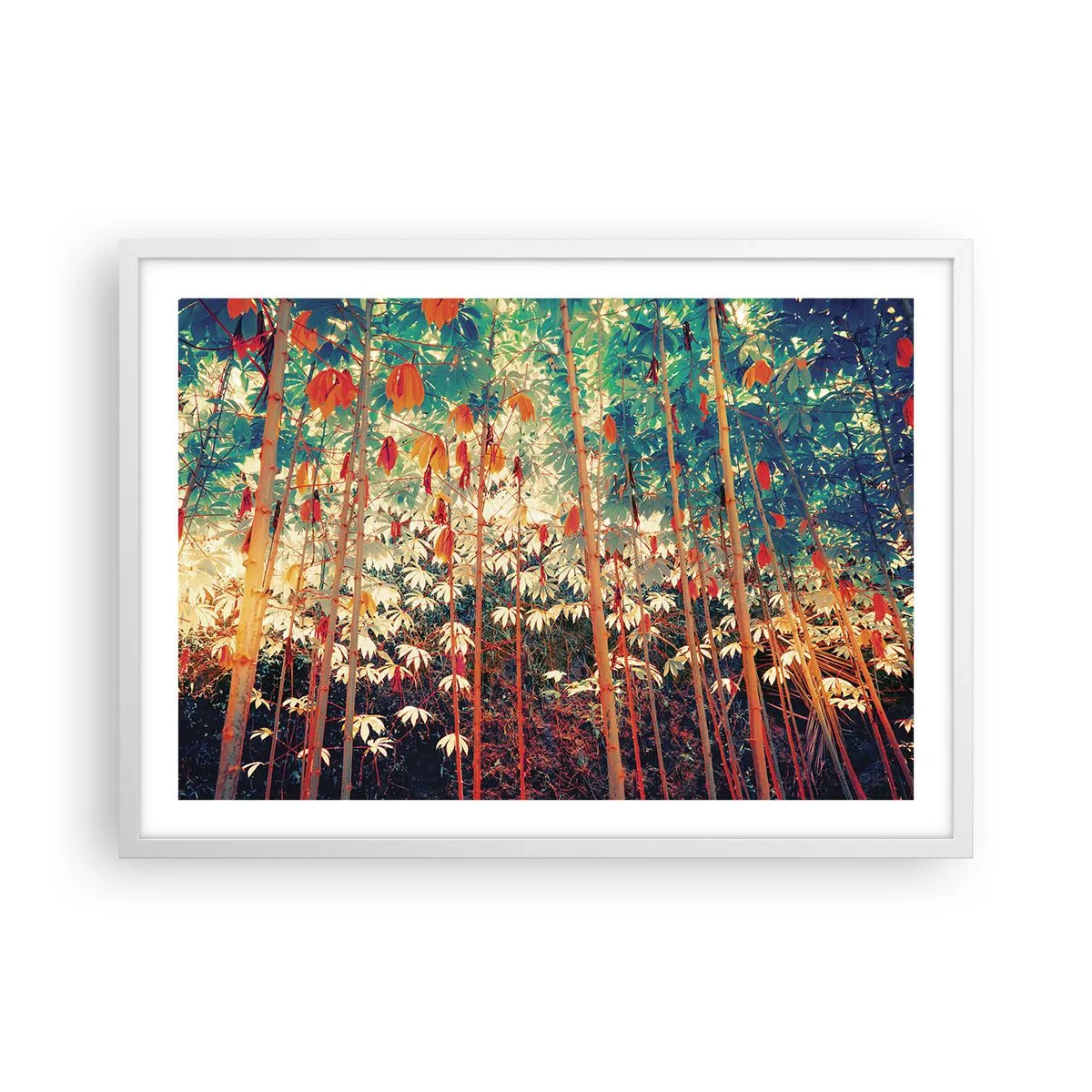 Poszter fekete keretben - A levelek titkos élete - 70x50 cm