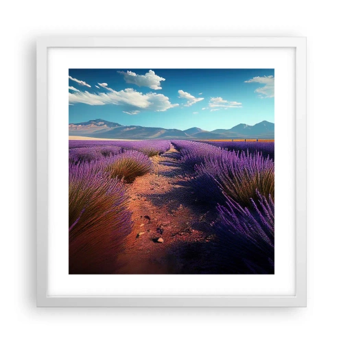 Poszter fekete keretben - Illatos mezők - 40x40 cm