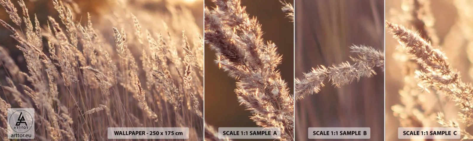 Fotótapéta Minta Standard Eco - Készen az ősz fogadására - Tájkép, Kalászok, Rét - 100x30 cm