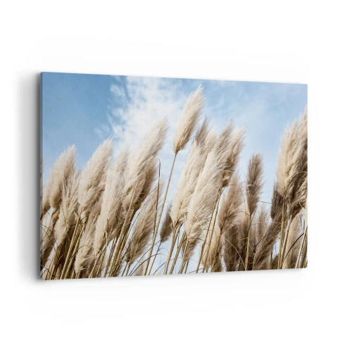 Vászonkép - Napos és szeles simogatás - 120x80 cm