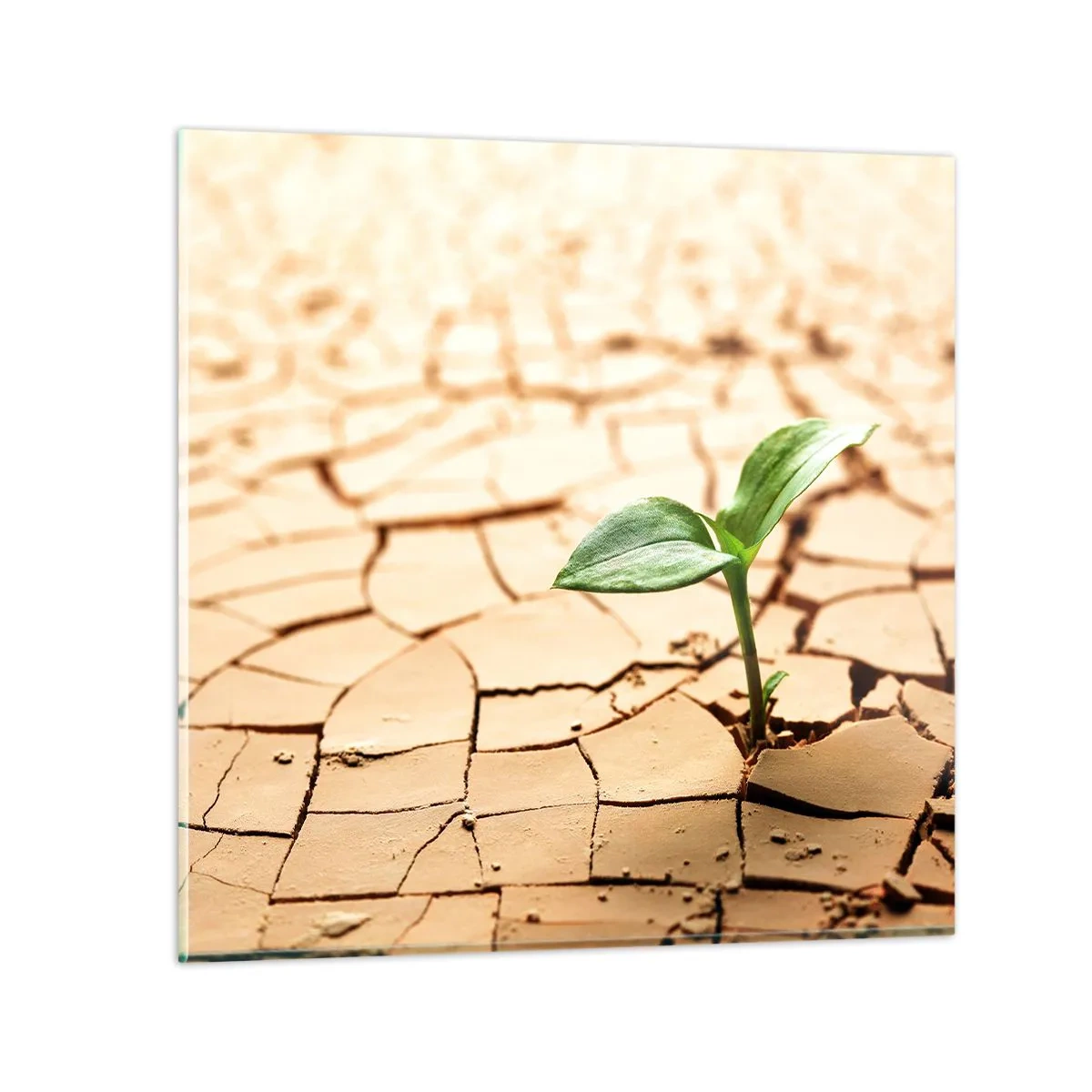 Üveg kép - Az élet fékezhetetlen ereje - 70x70 cm