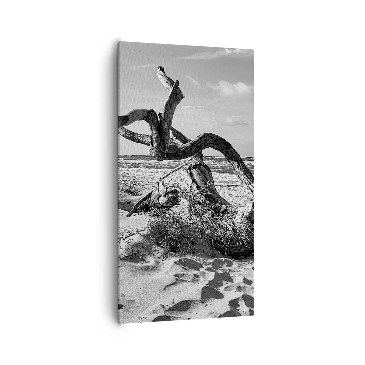 Vászonkép - Tengeri szobor - 65x120 cm