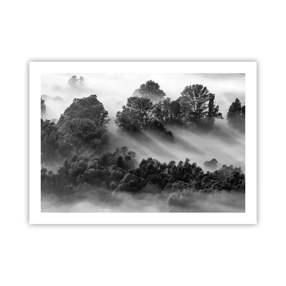 Poszter -  Az álomból felkelő - 70x50 cm
