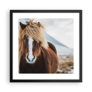 Poszter fehér keretben - Érzed a szabadságot? - 40x40 cm