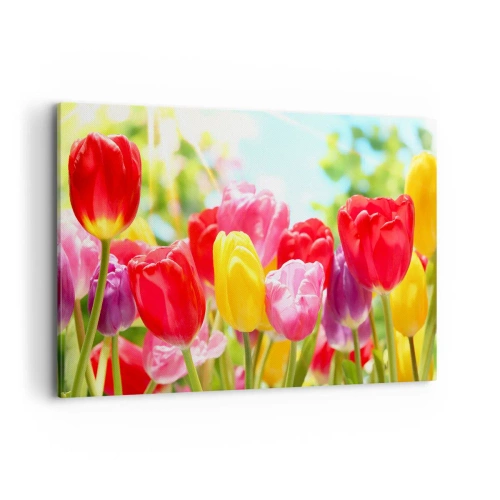 Vászonkép - Mi vagyunk, a május színei! - 120x80 cm