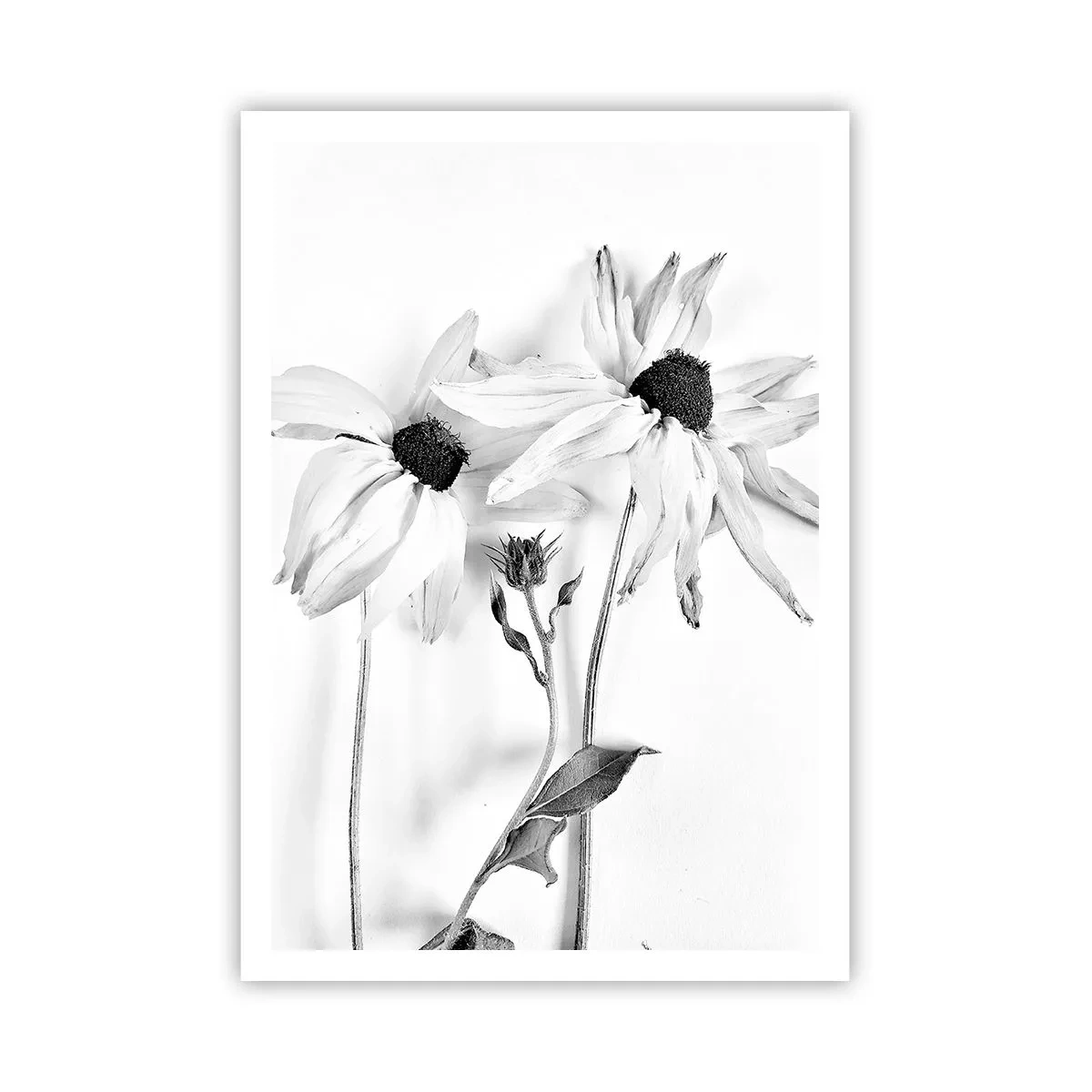 Poszter - Senki sem akar egyedül lenni - 70x100 cm