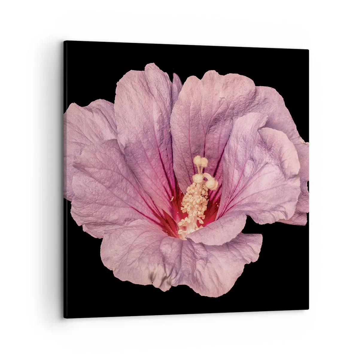 Vászonkép - Egyenesen a szív felé - 50x50 cm