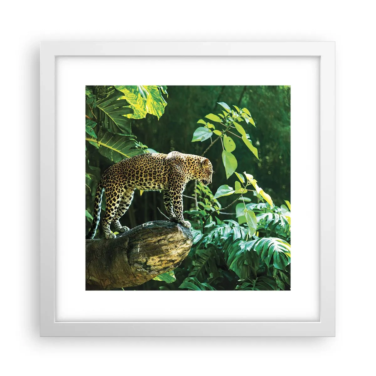 Poszter fekete keretben - A vadászatra? - 30x30 cm