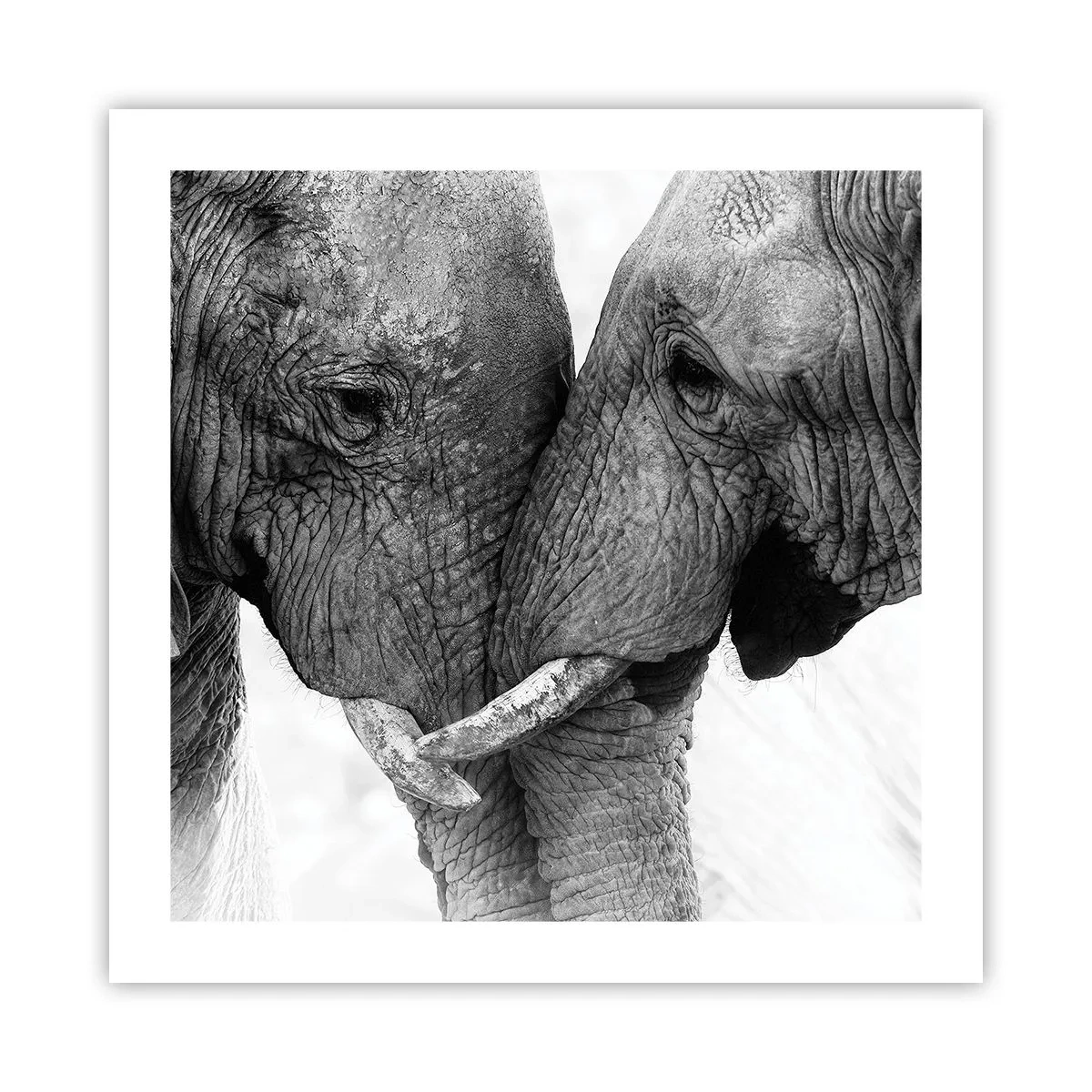 Poszter - Szívélyes vallomás - 50x50 cm