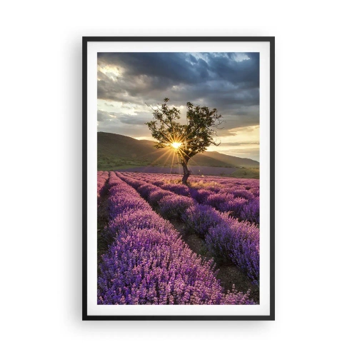 Poszter fehér keretben - Lila színű illat - 61x91 cm